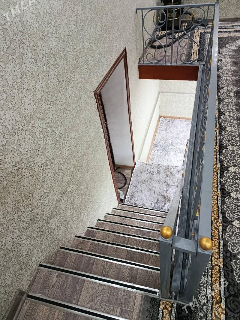 Satlyk jay - Mary - img 2