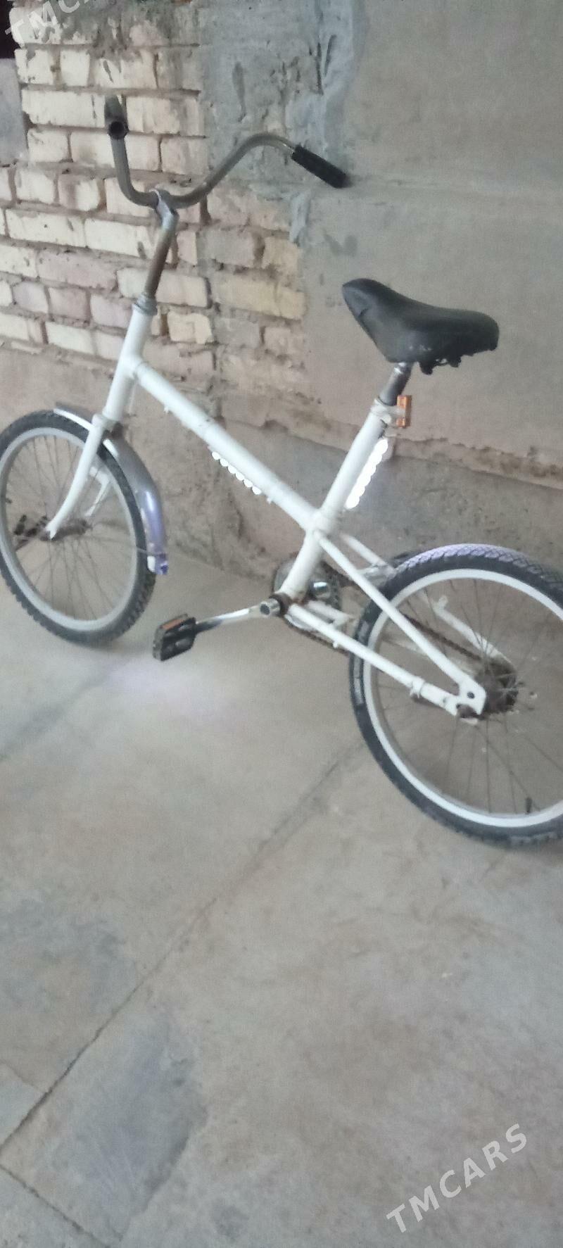 kama tigir - Tejen - img 2