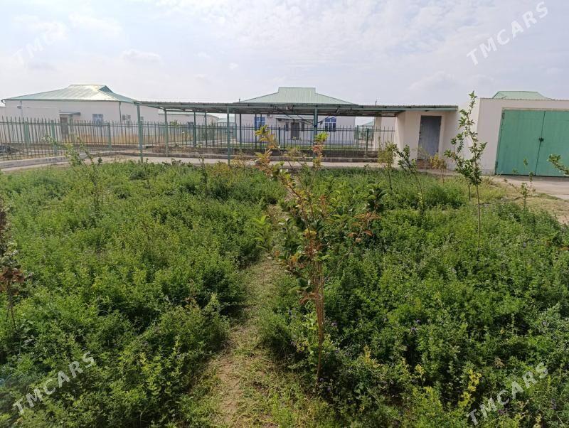 Довлтли заман шахерче - Огуз хан - img 9