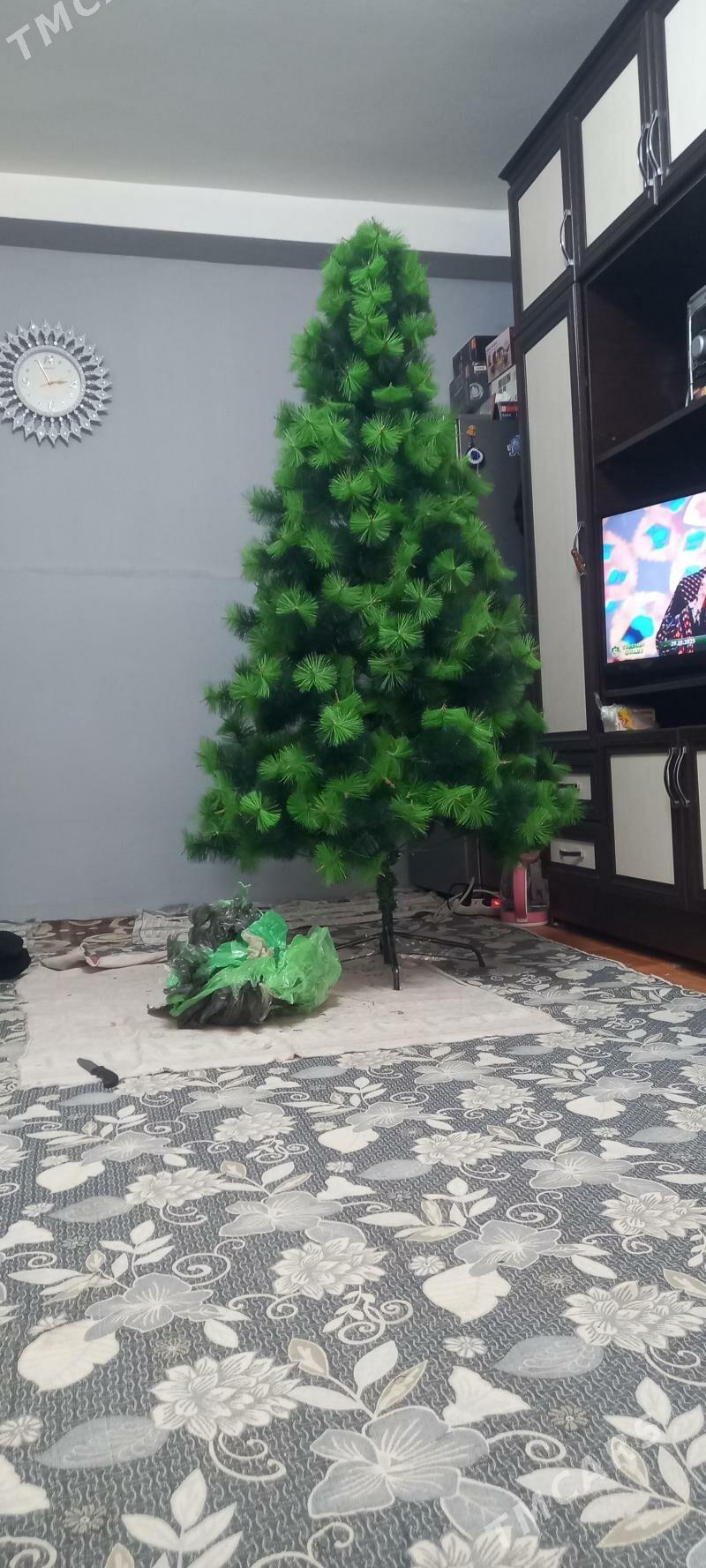 Täze ýyl ýolkasy - Aşgabat - img 2