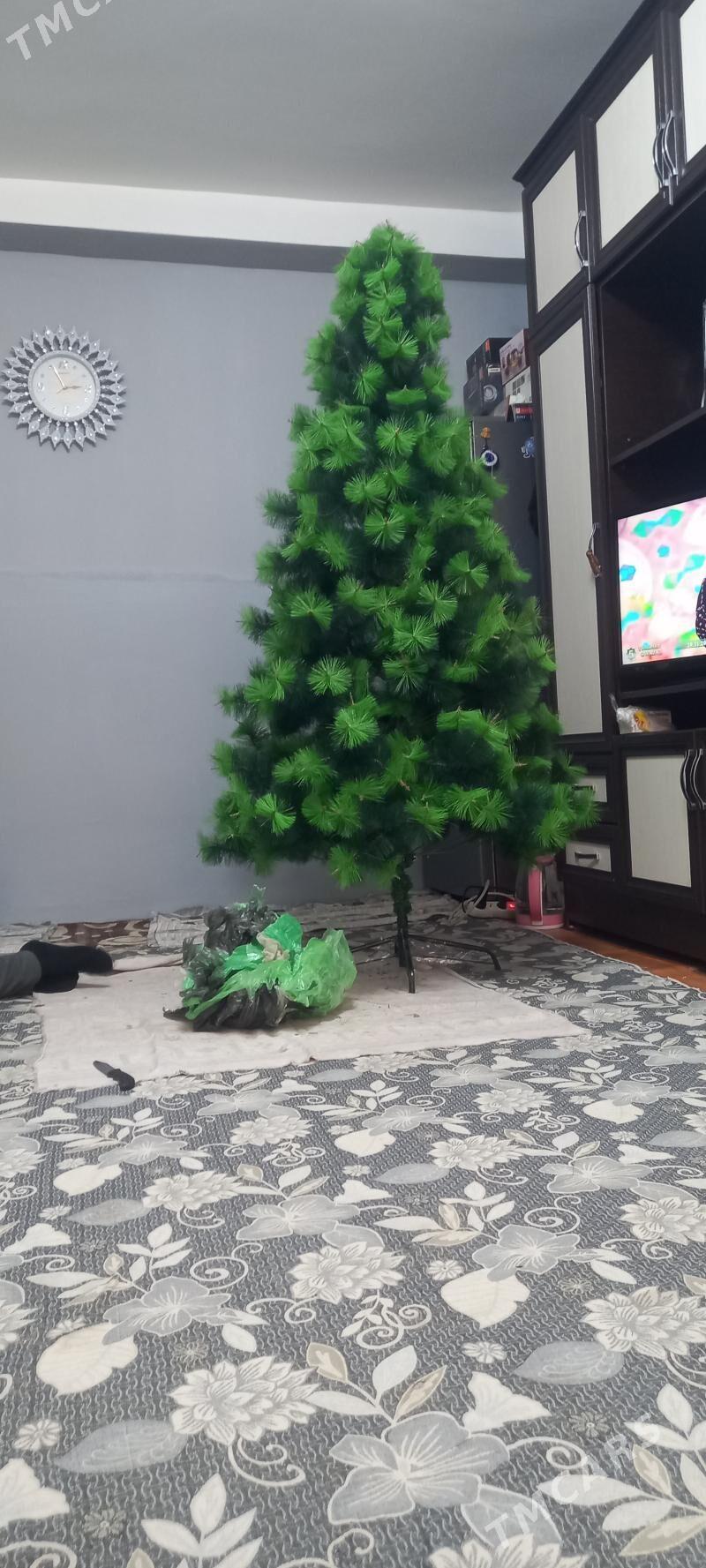 Täze ýyl ýolkasy - Aşgabat - img 3