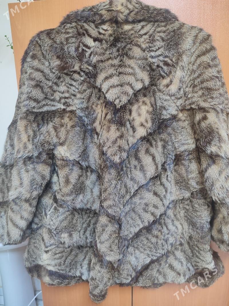 suba - Ашхабад - img 4