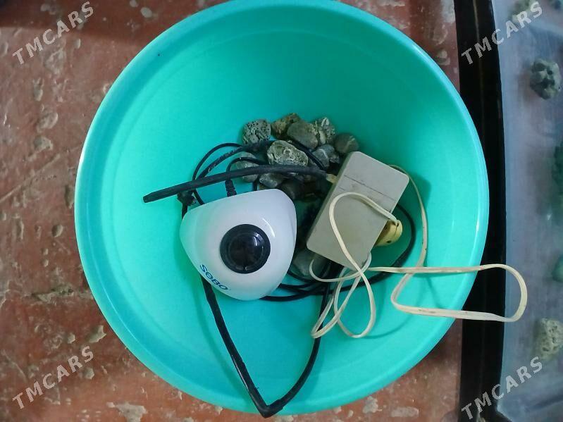 Akwaryum - Балканабат - img 3