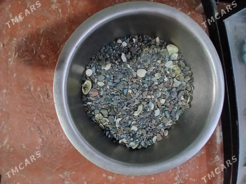 Akwaryum - Балканабат - img 2