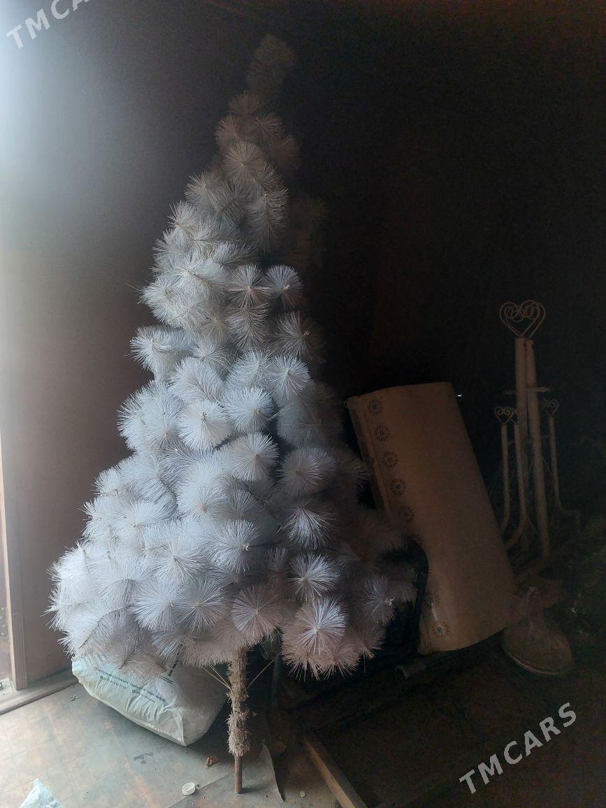 volka - Ашхабад - img 2