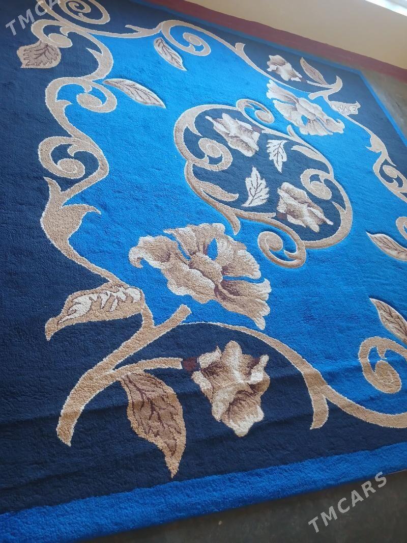 Haly - Sarahs - img 2