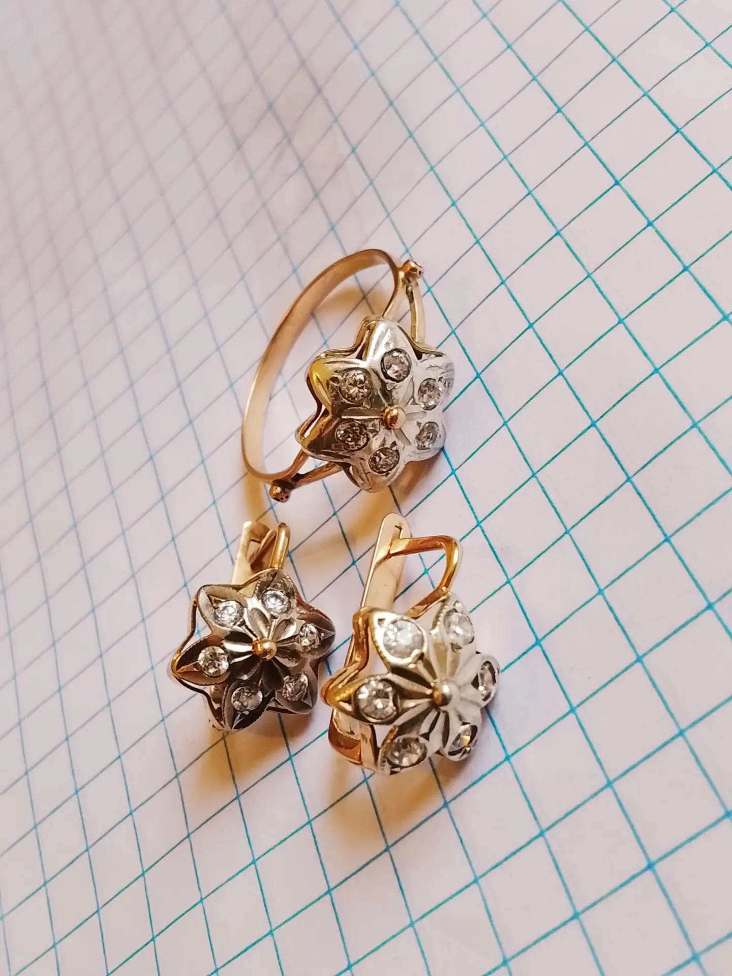 Gyzyl kampilekit - Aşgabat - img 3