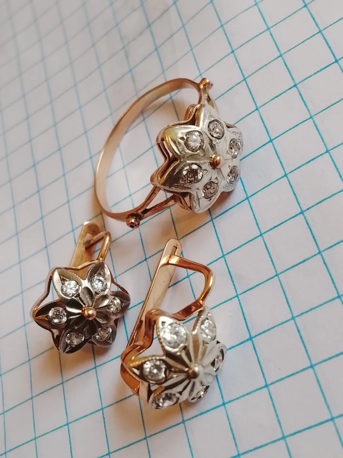 Gyzyl kampilekit - Aşgabat - img 2