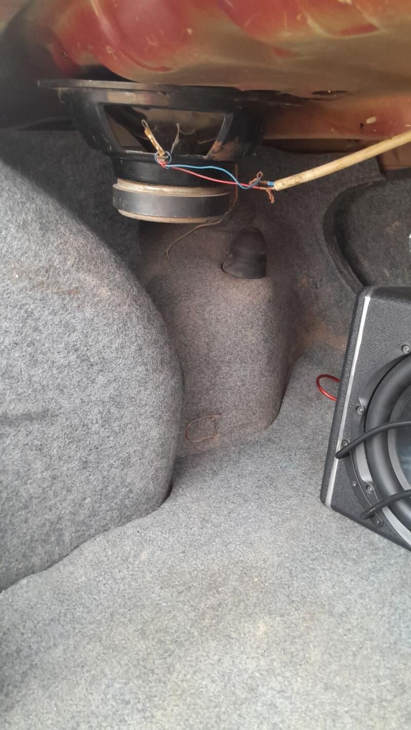 Bas bocka kalonka Tyulpan 777 TMT - Şabat etr. - img 10