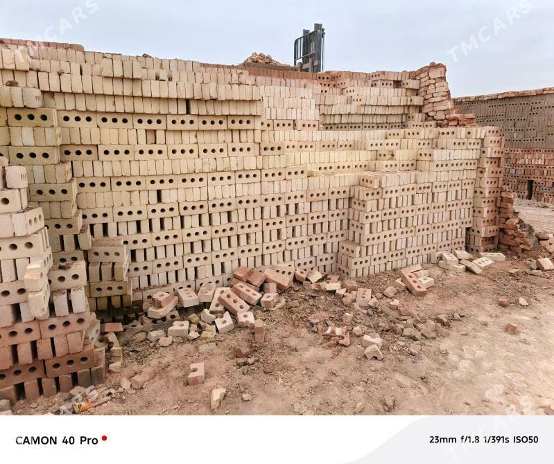 Bishen kerpic - Кака - img 2