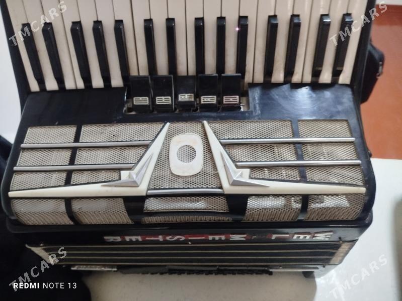 wooltmeyster akardion - Гарабекевюл - img 3