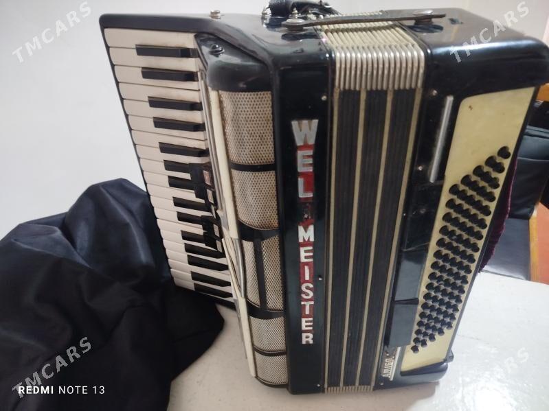 wooltmeyster akardion - Гарабекевюл - img 2