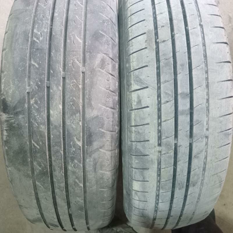 165.70..13.lik. bezkamir 300 TMT - Дашогуз - img 2