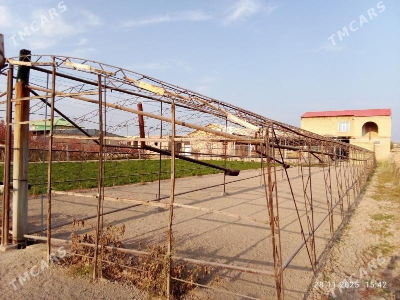 Teplitsa - Çärjew - img 1