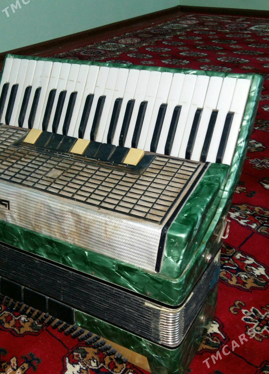 Akardion - Анев - img 3