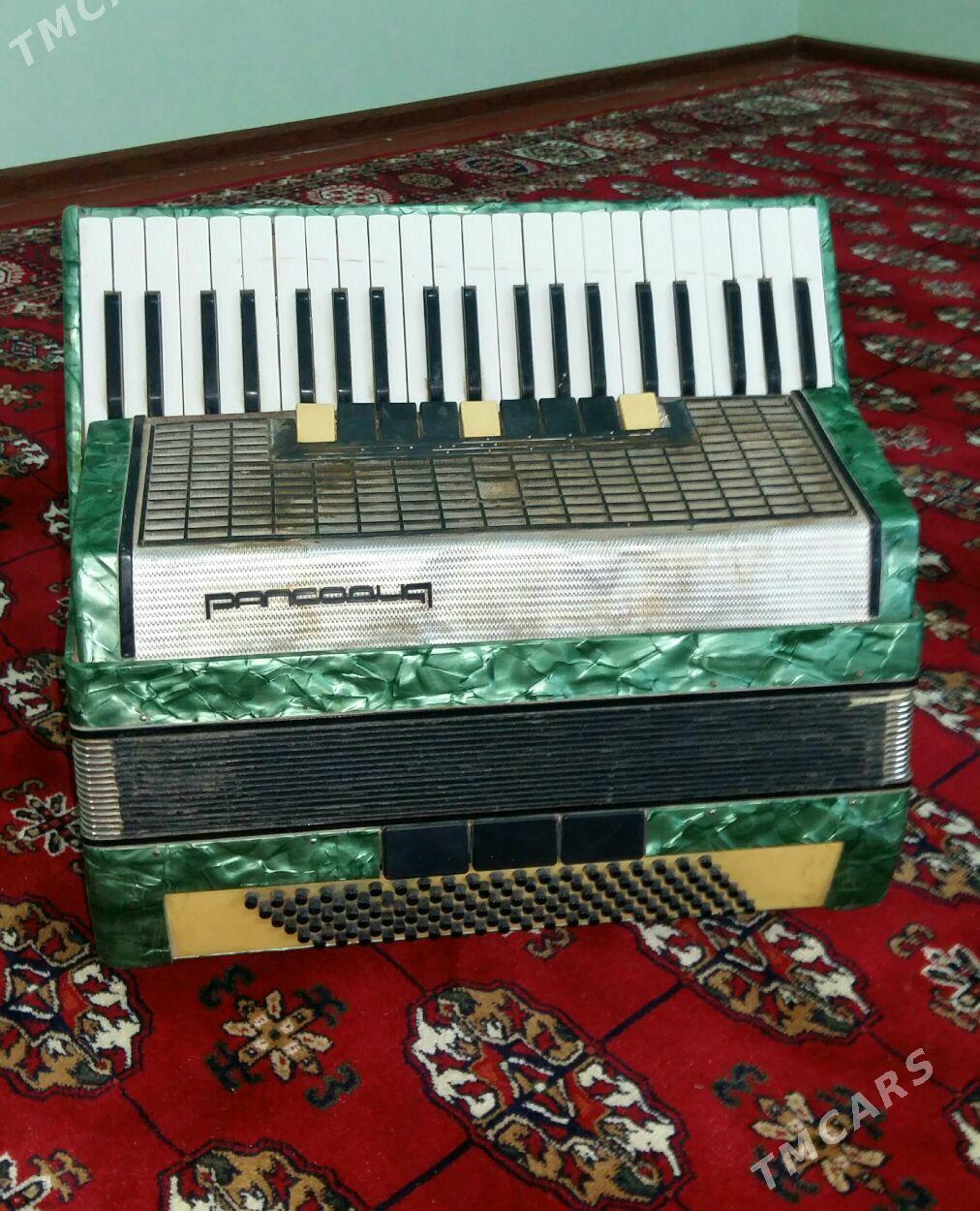 Akardion - Анев - img 2