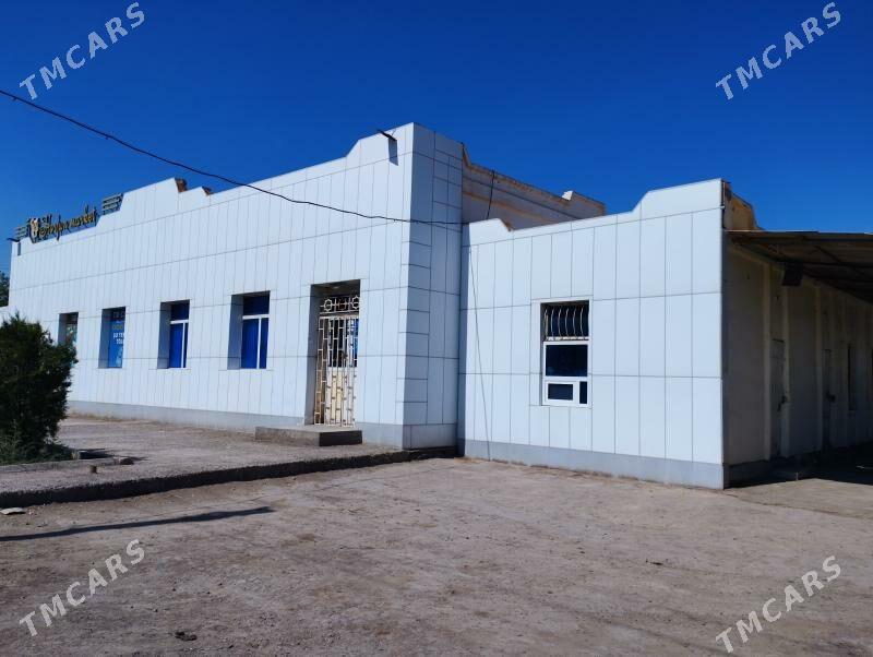 чумныда йолун усти - Дашогуз - img 2