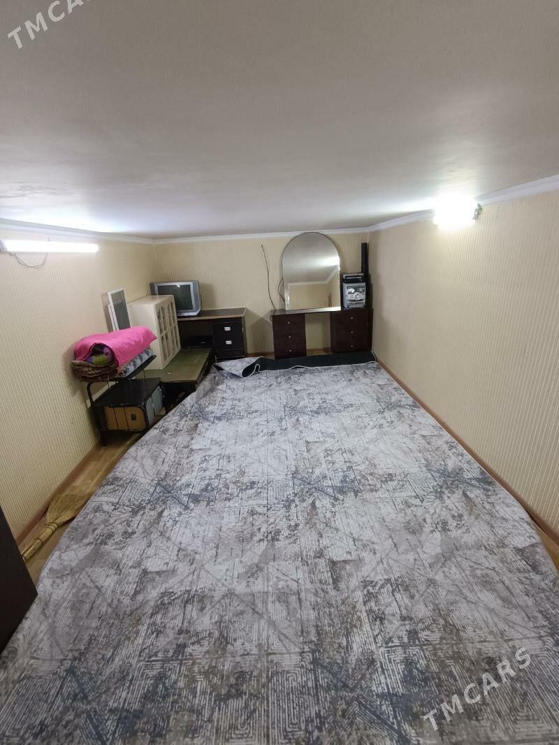 Satlyk jay - Mary - img 5