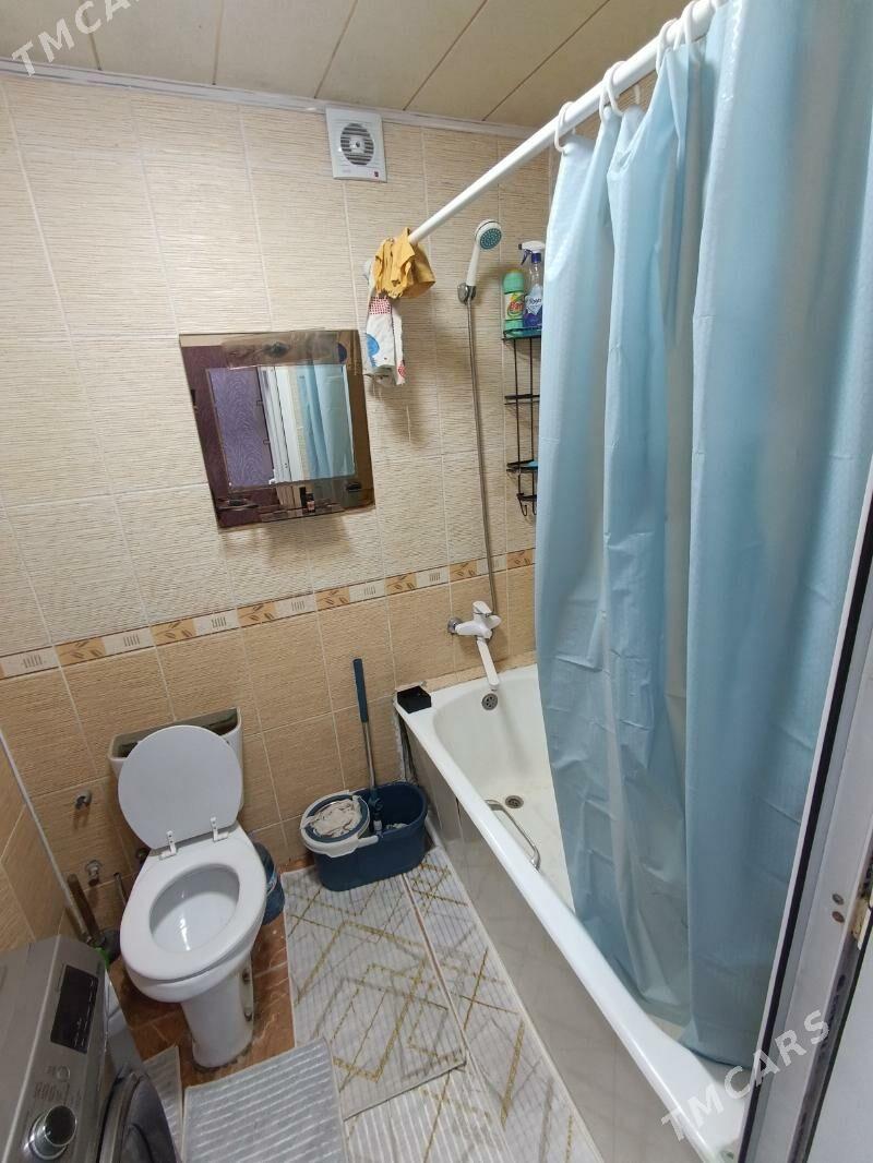 Satlyk jay - Mary - img 9