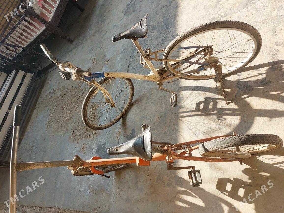 kama welik - Murgap - img 2