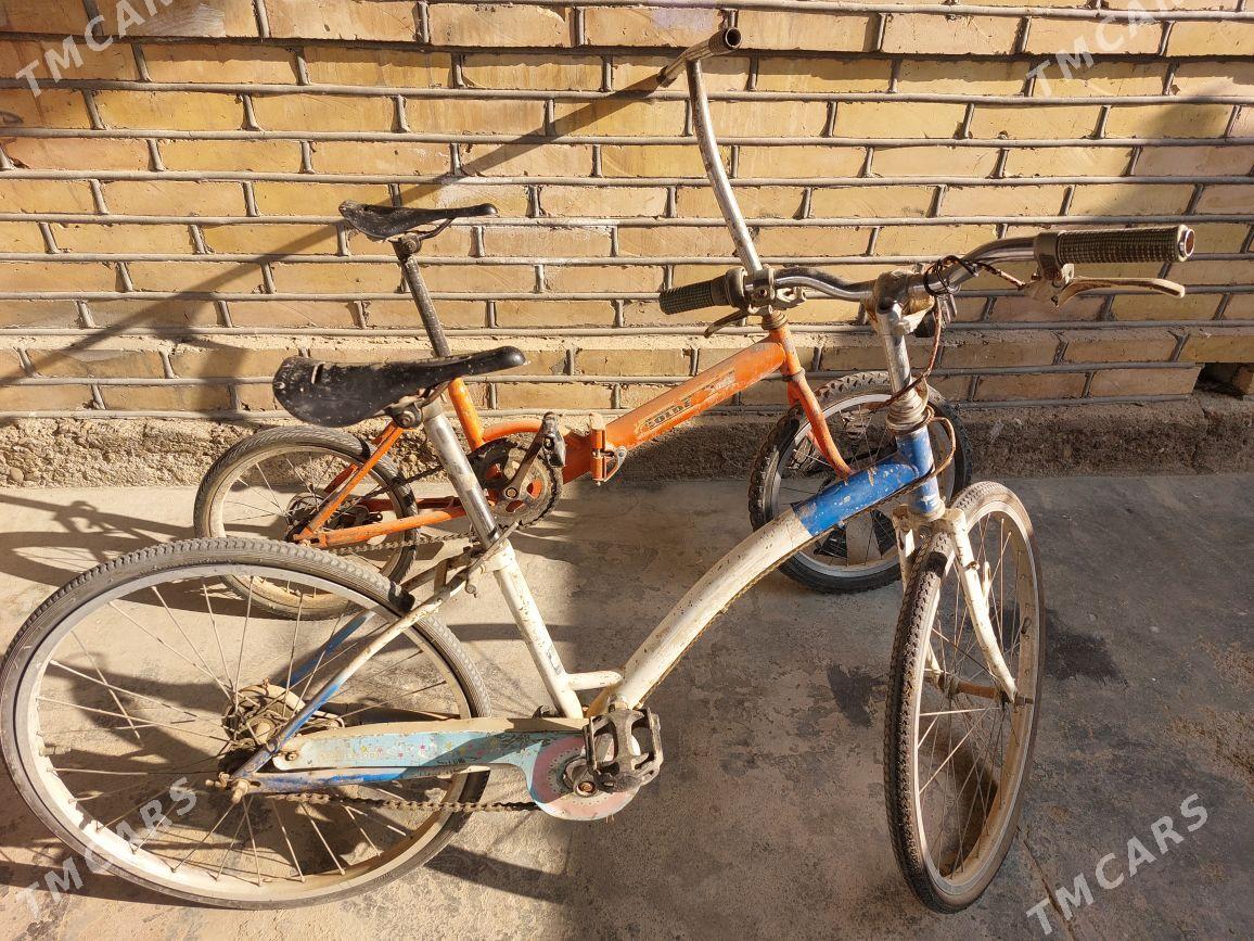 kama welik - Murgap - img 4