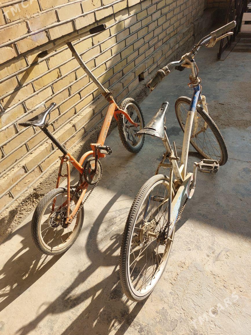 kama welik - Murgap - img 3