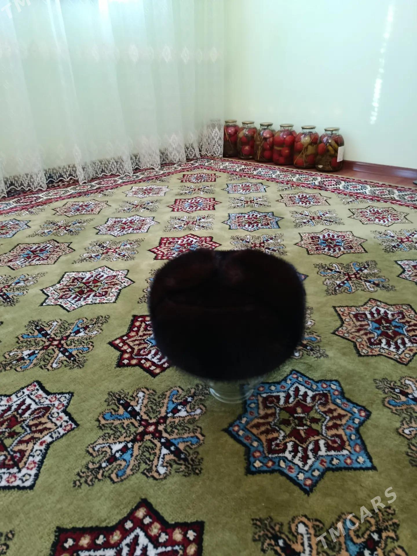 norka - Bereket - img 2