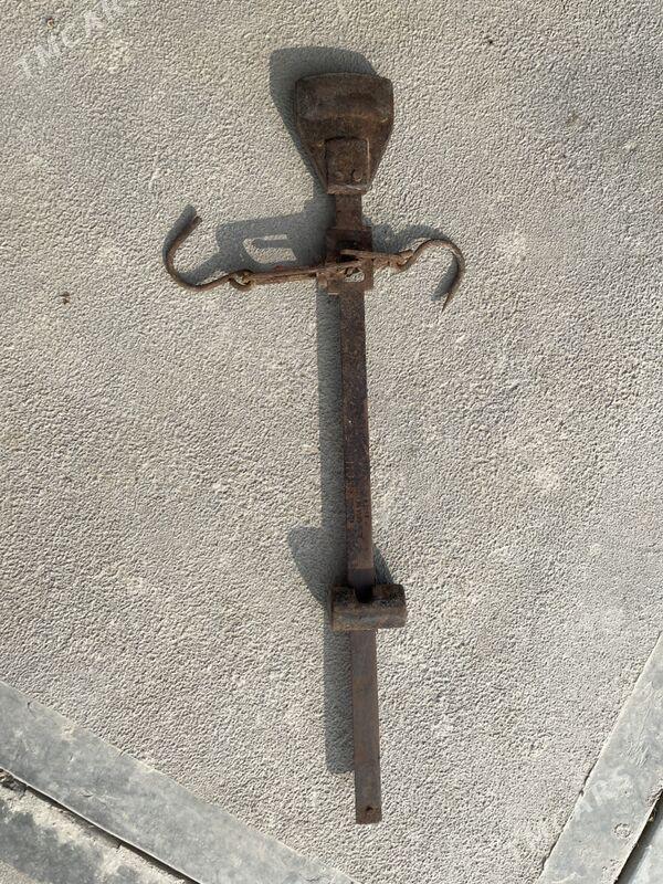 Terezi asma - Mary - img 2