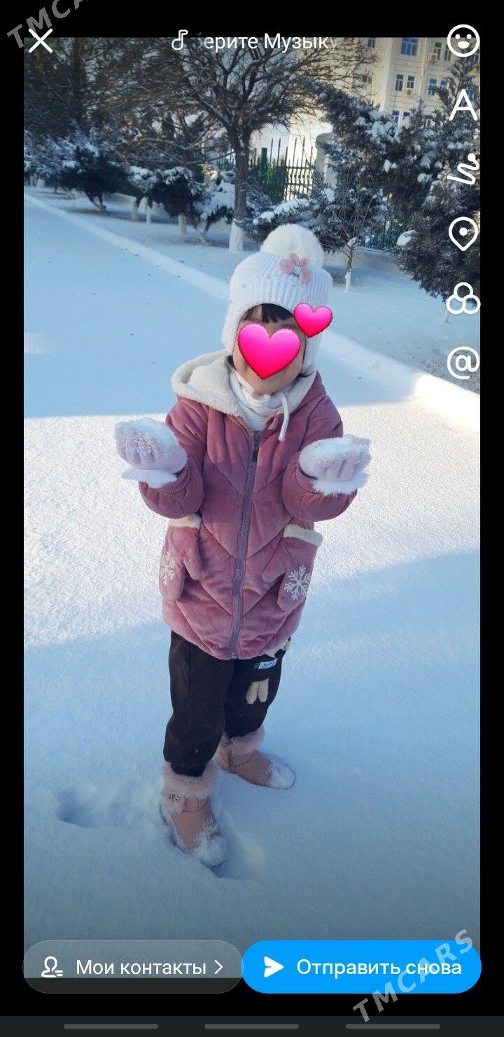 Şuba kurtga - Daşoguz - img 2