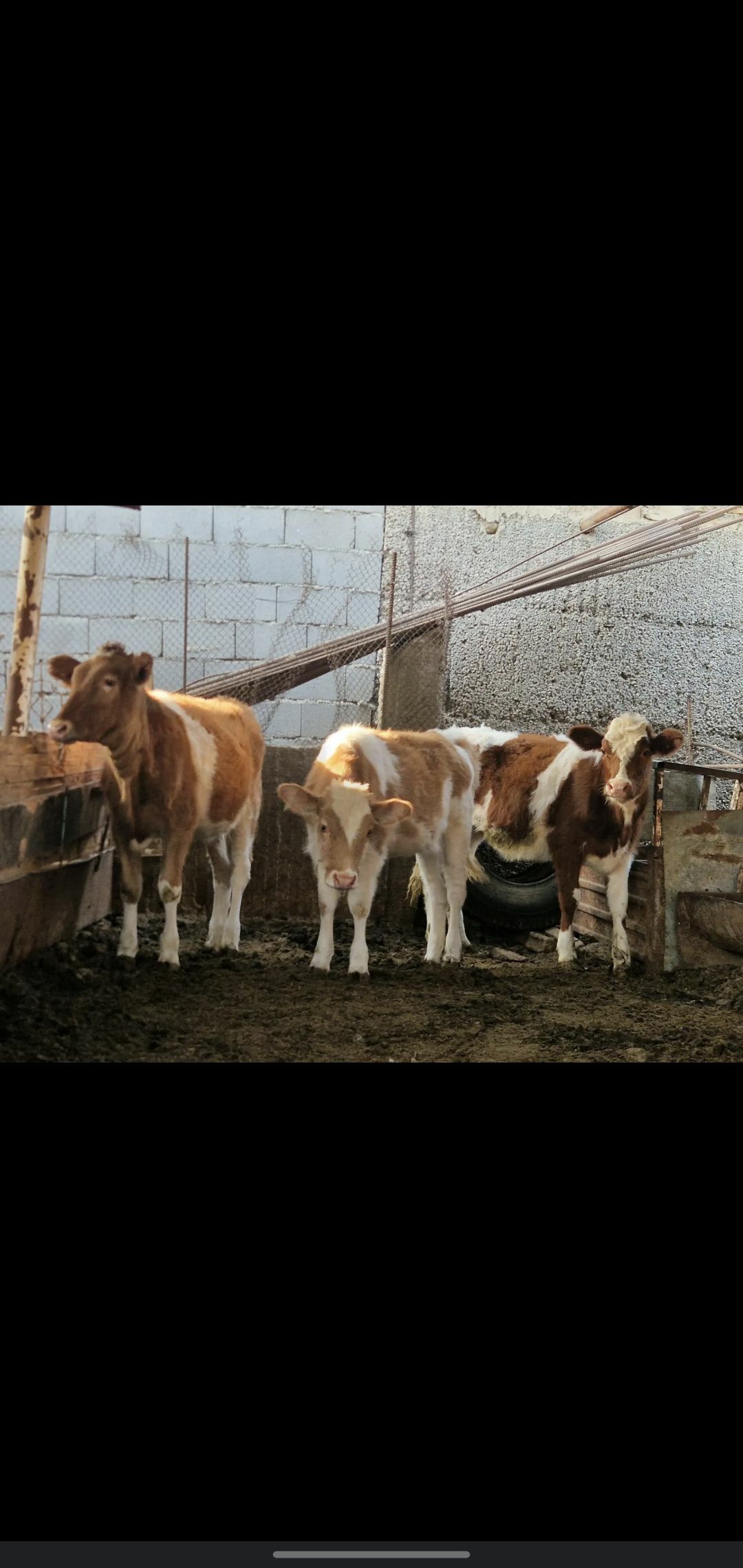 TUWE - Ашхабад - img 3