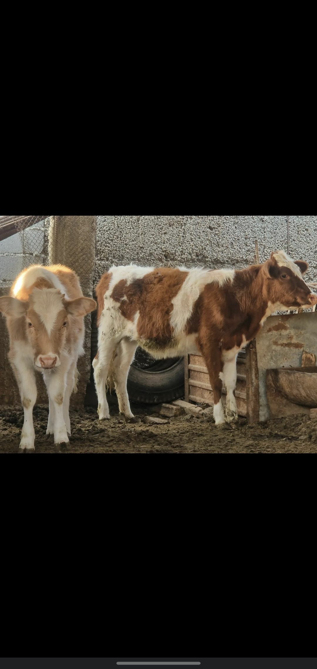 TUWE - Ашхабад - img 2