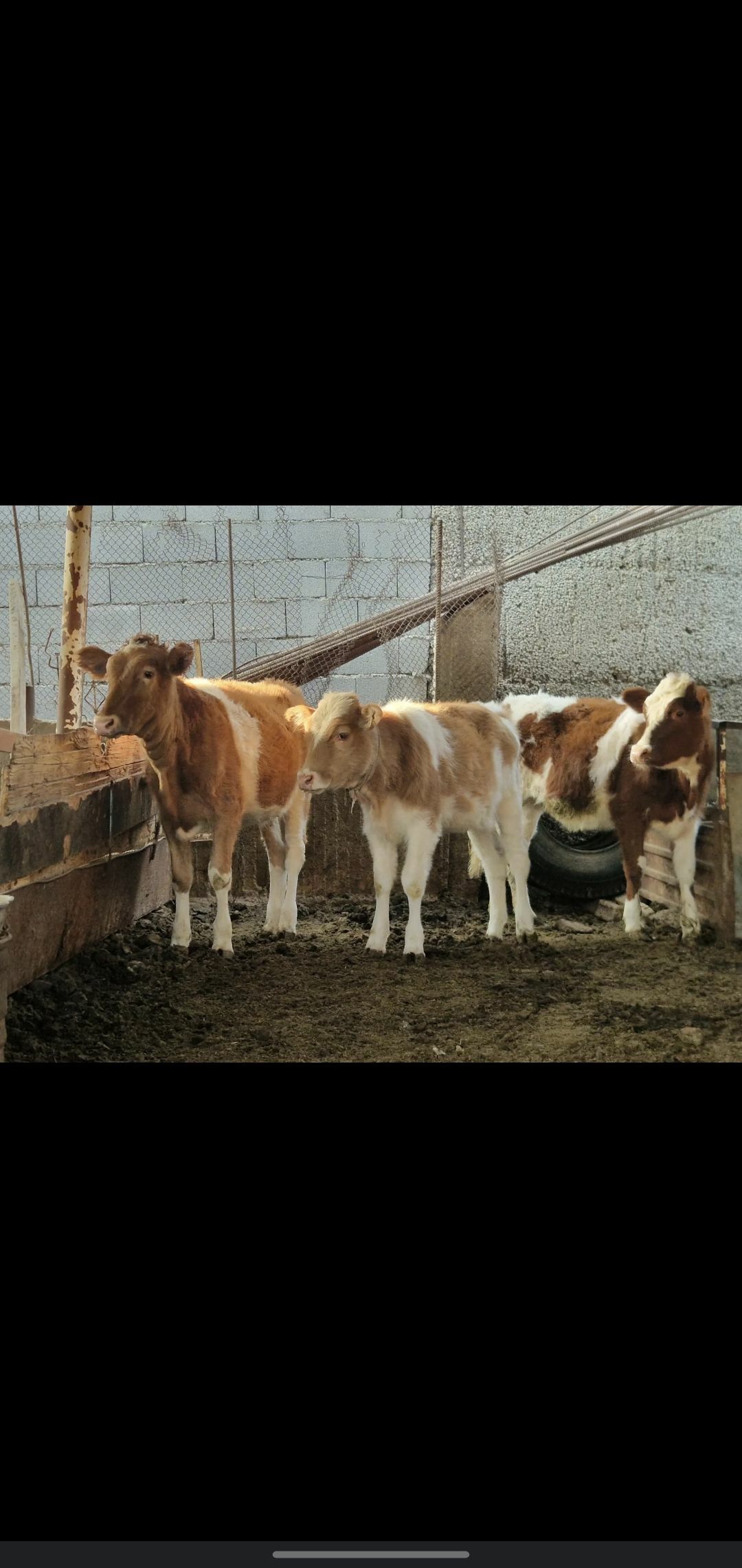 TUWE - Ашхабад - img 6