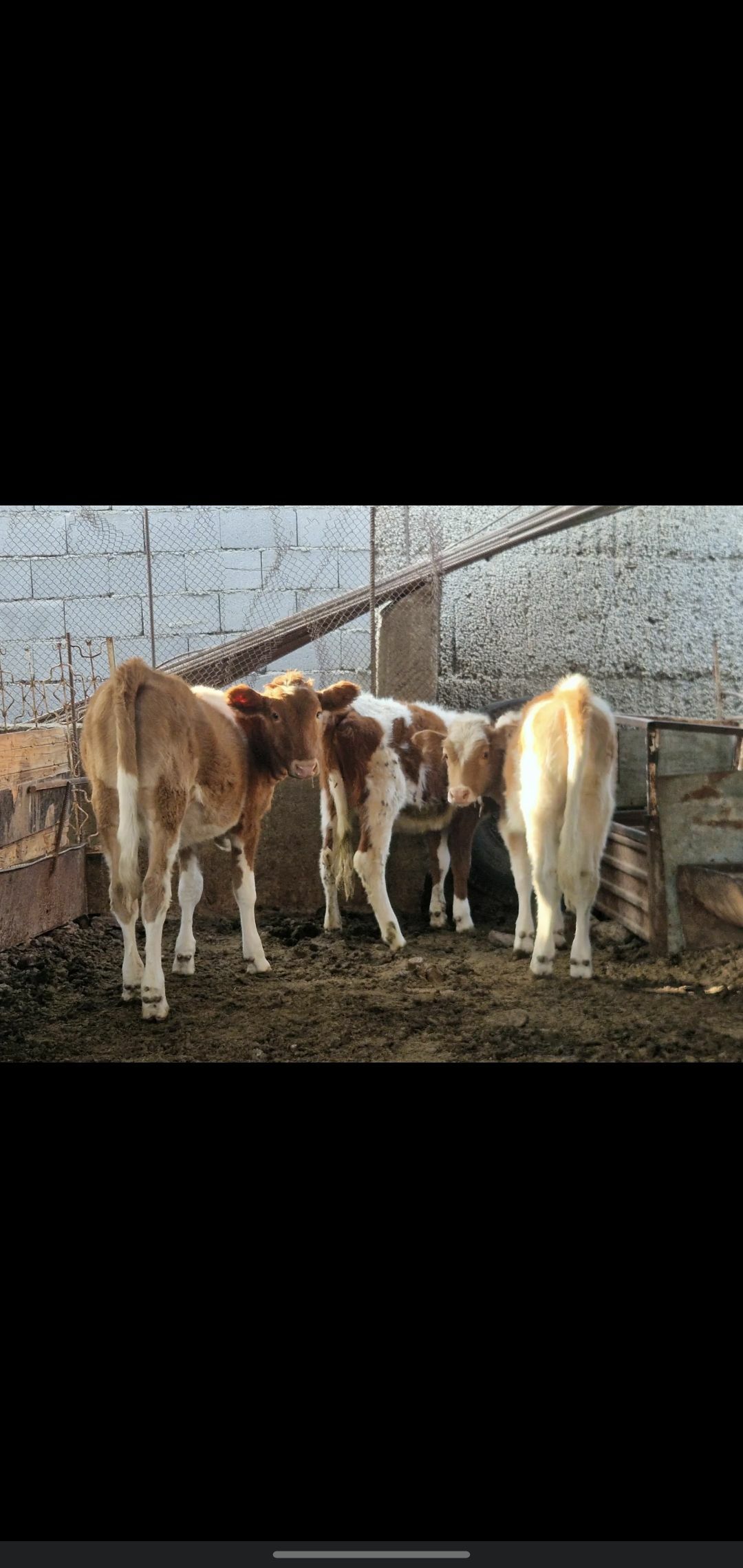 TUWE - Ашхабад - img 9