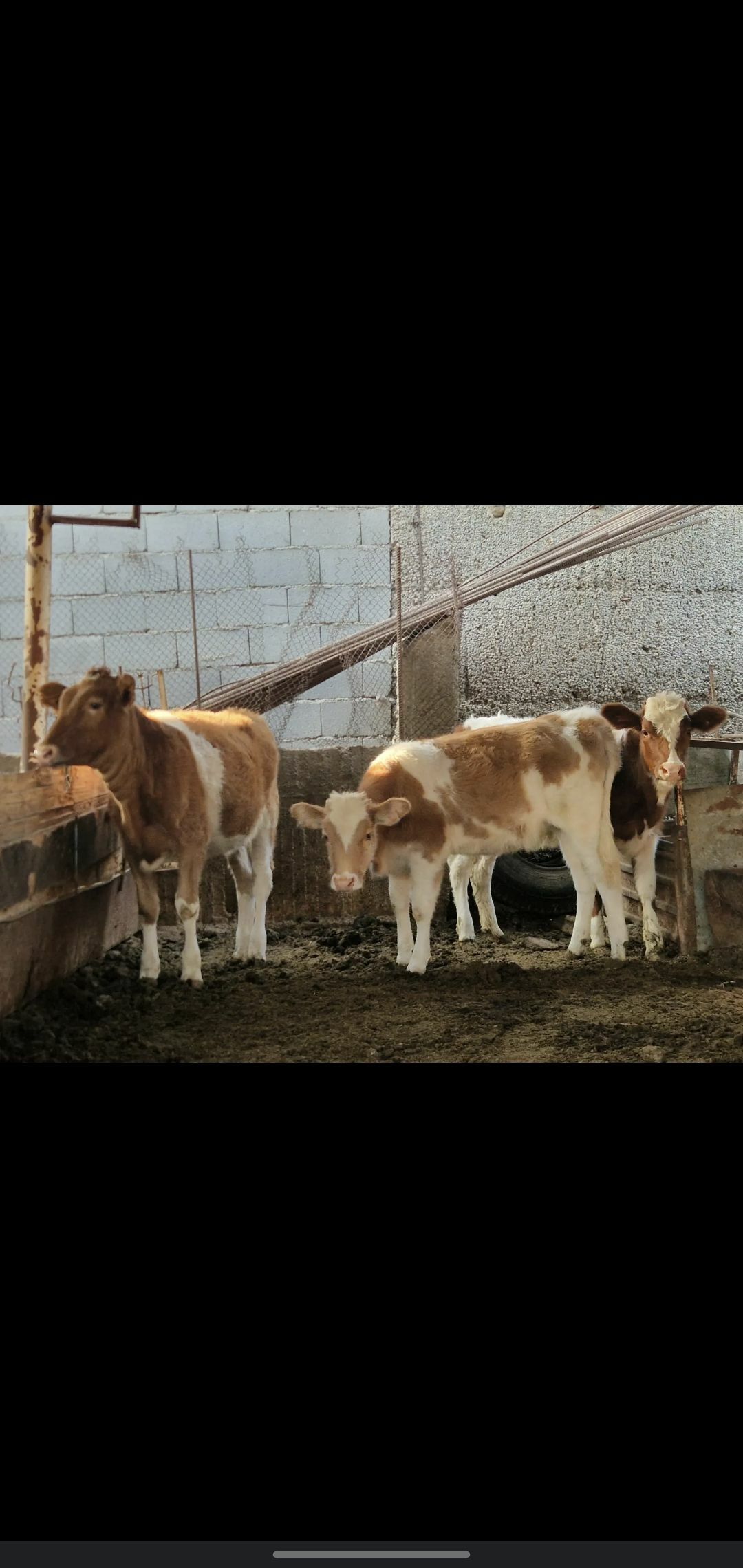 TUWE - Ашхабад - img 8