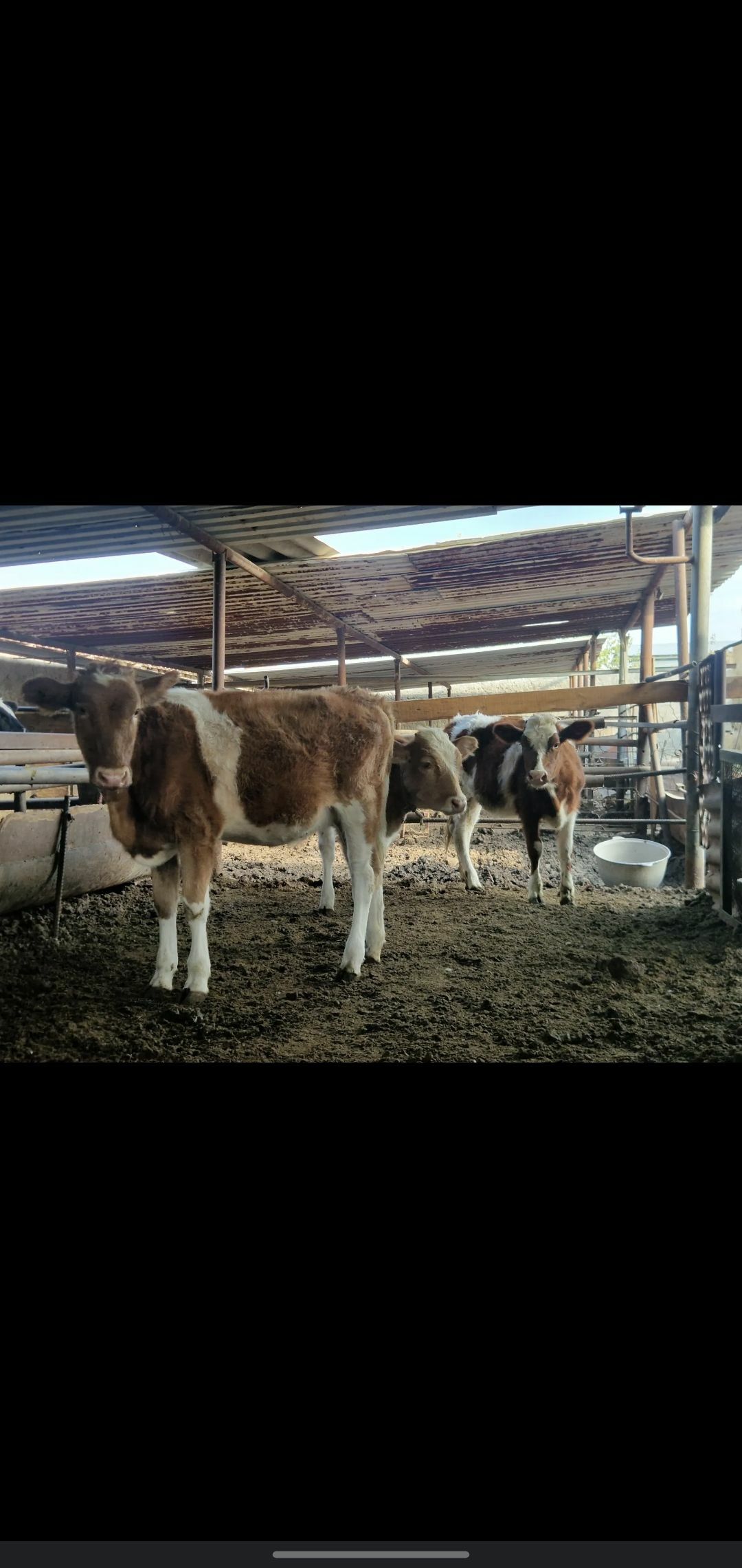 TUWE - Ашхабад - img 10