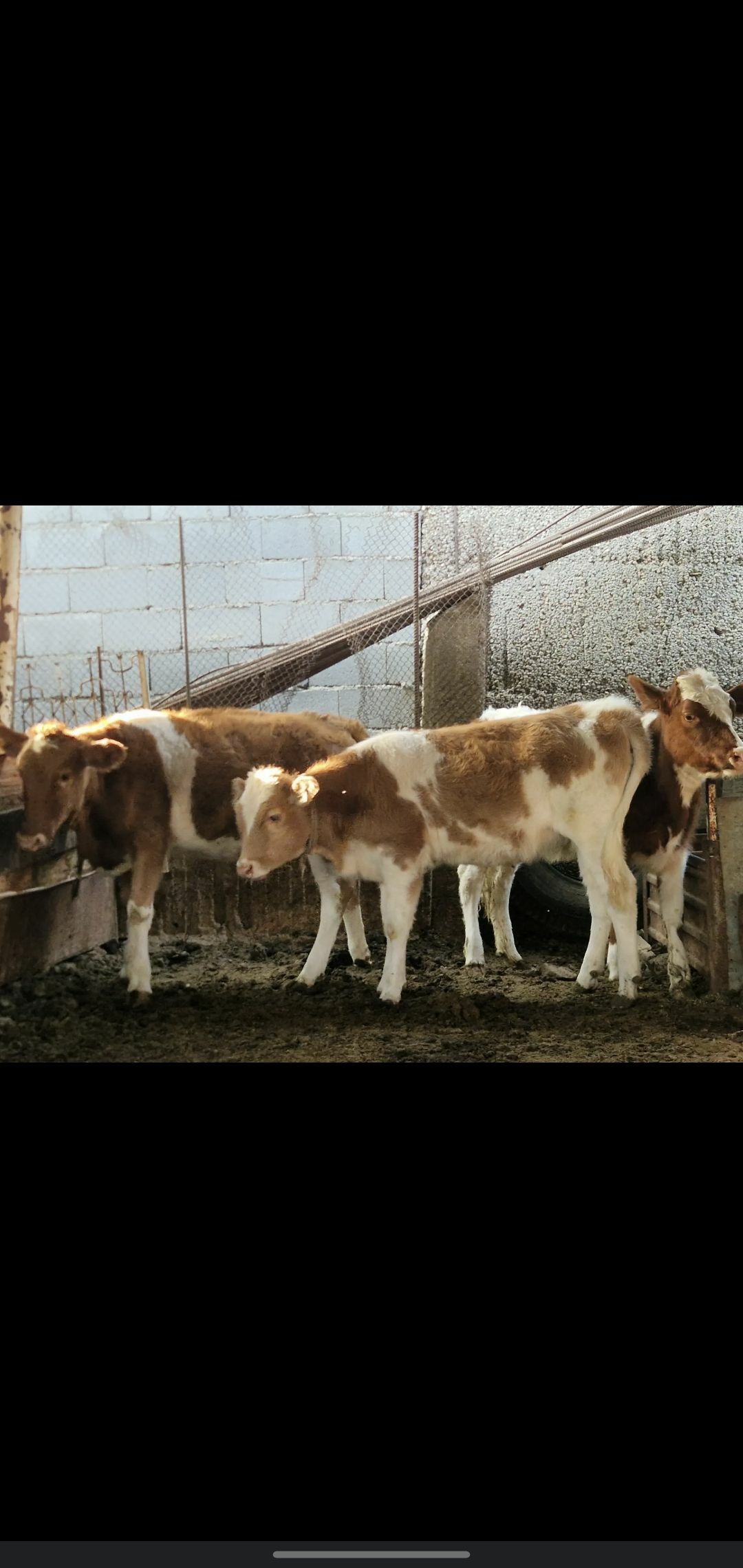 TUWE - Ашхабад - img 5