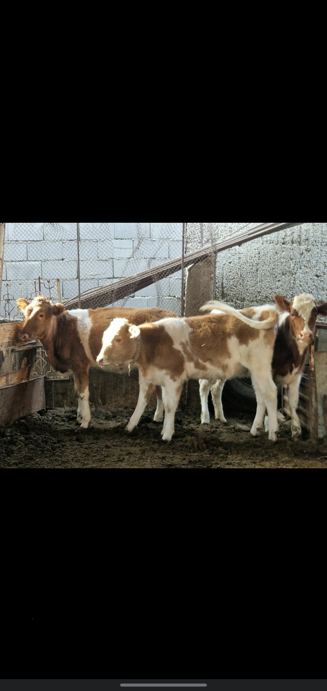 TUWE - Ашхабад - img 7