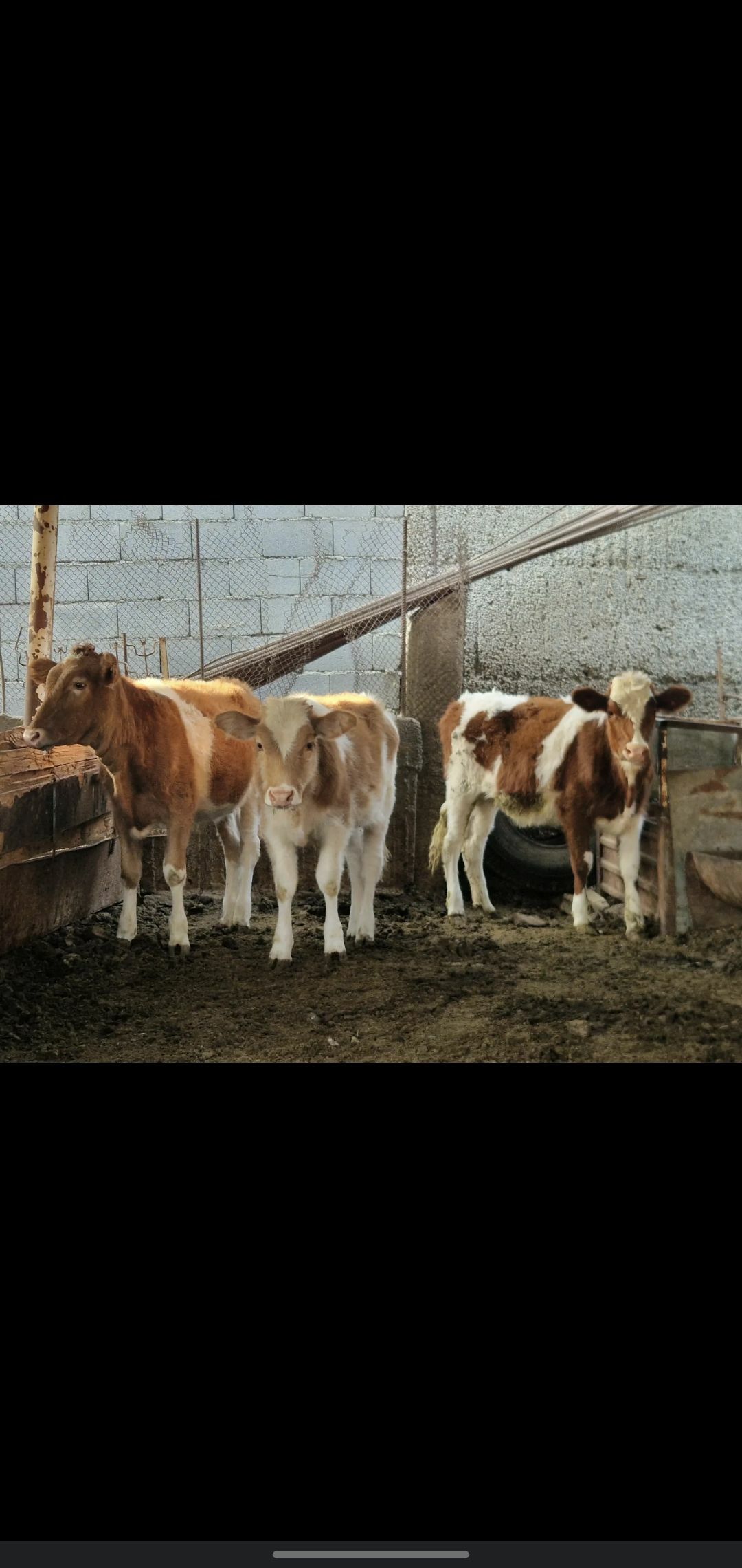 TUWE - Ашхабад - img 4