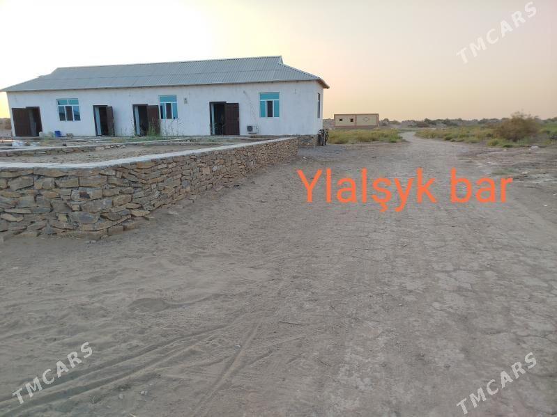 satlyk jaý - Койтендаг - img 4