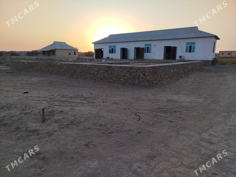 satlyk jaý - Койтендаг - img 7