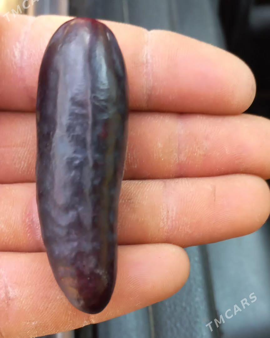 Üzum nahal Awatar - Векильбазар - img 2