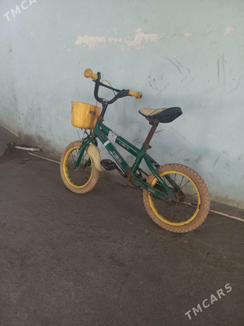 14 lik tigir - Büzmeýin - img 5