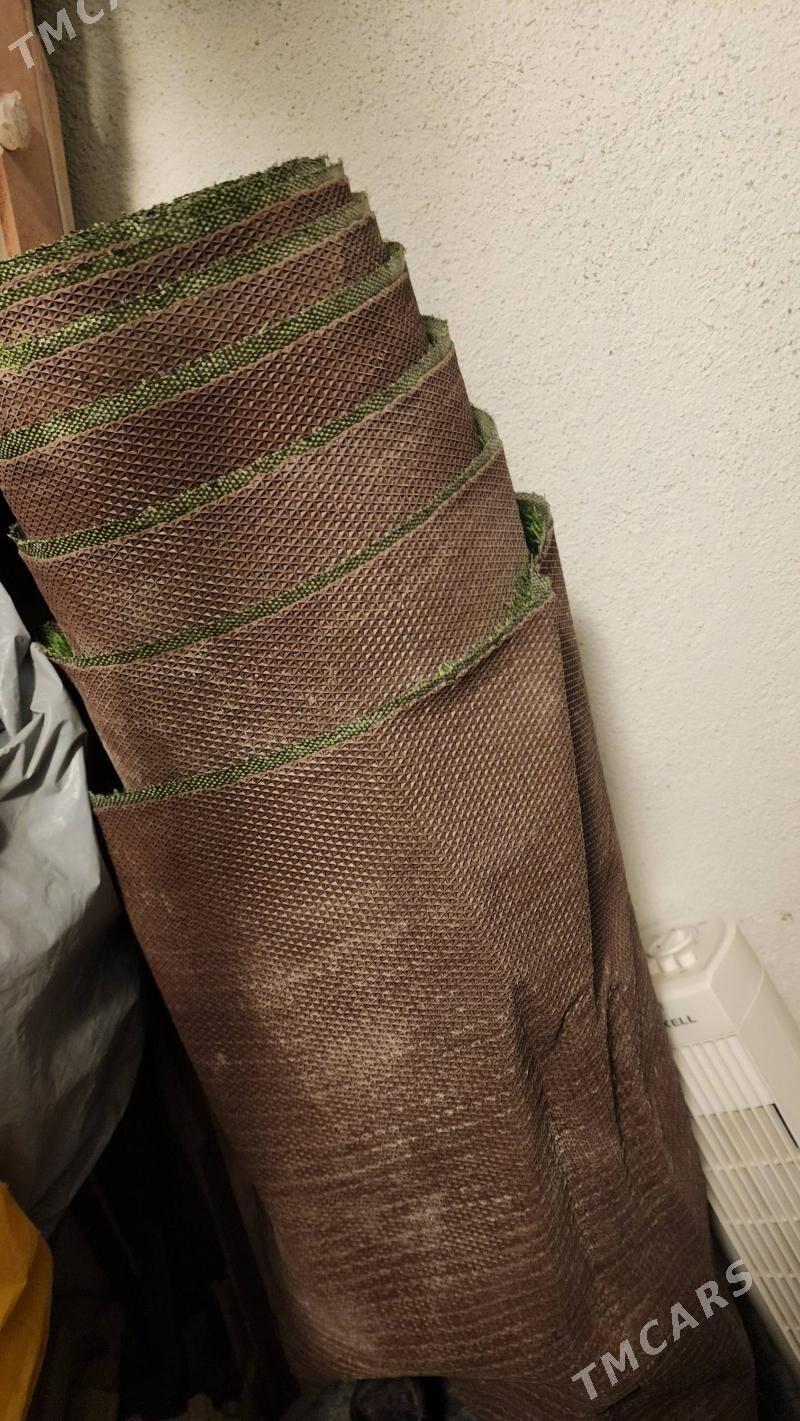 ot - Aşgabat - img 1