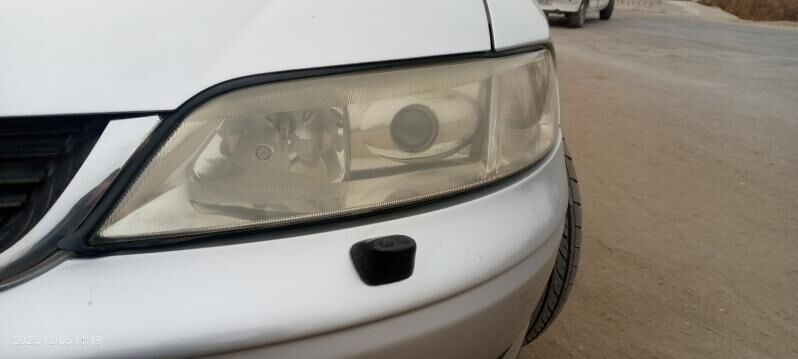 Lupa Far 2 000 TMT - Шабатский этрап - img 2