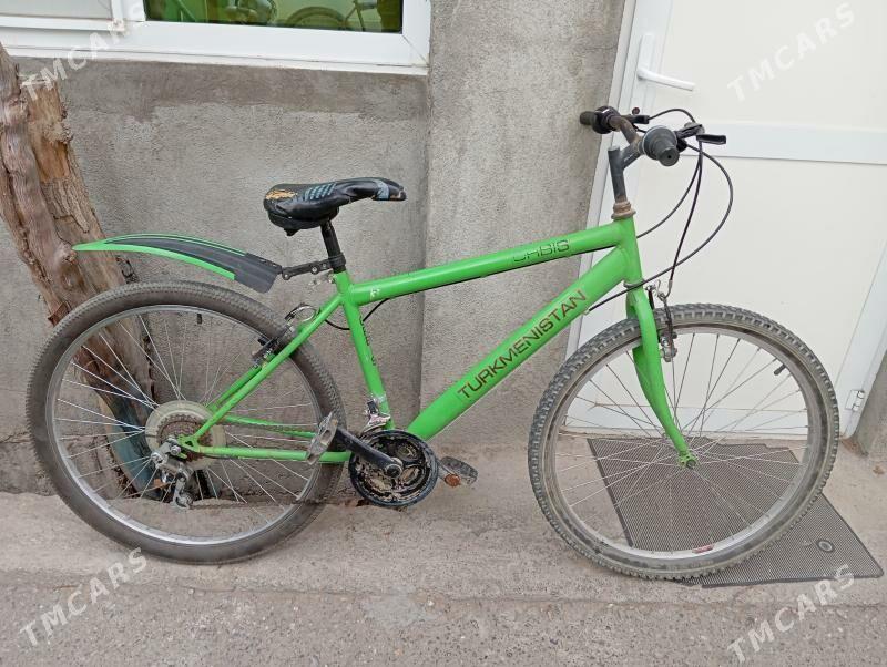 tigir gyssagly turkmenistan 26 - Bedew - img 2