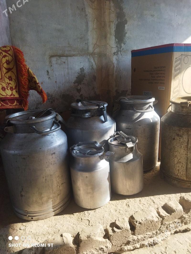 Pilýak (Фляга) - Mary - img 1