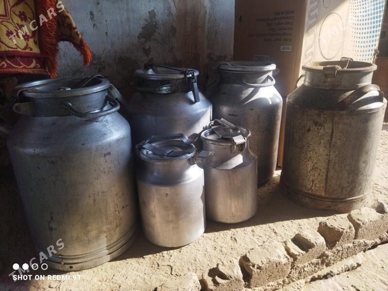 Pilýak (Фляга) - Mary - img 2