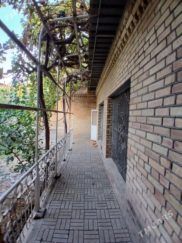 Satlyk howly - Türkmenabat - img 5