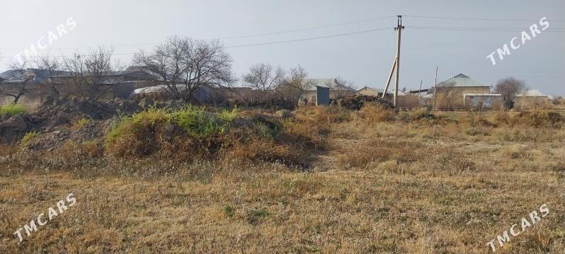 Satlyk ýer - Türkmengala - img 7