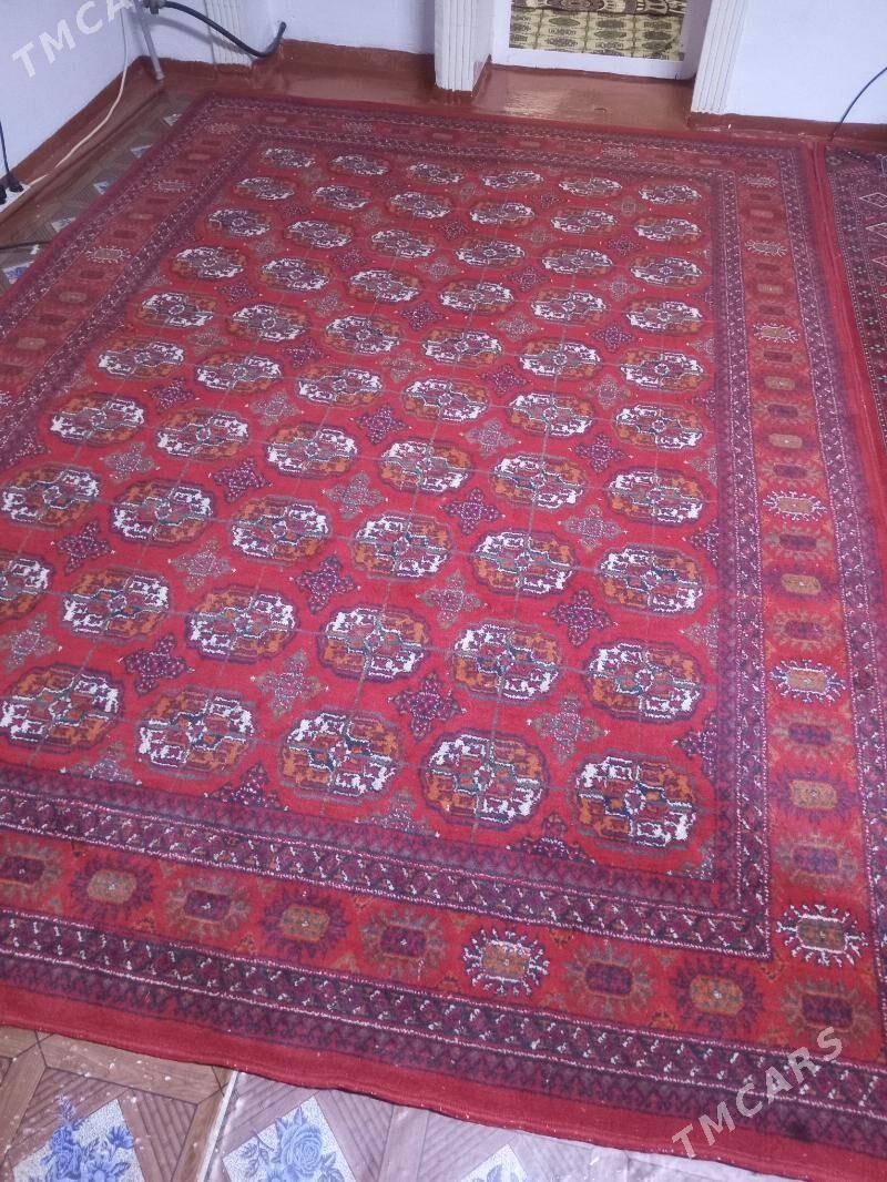 haly - Daşoguz - img 1